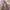 Shopie Martin Pink Shoulder Bag, Cute