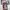 Akiyoshi rikako holy mother , absolute justice , scheduled s photo 1