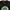 STARBUCKS COFFEE PARODY BY UNFLEDGED T-SHIRT | KAOS | AFM  photo 2