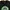 STARBUCKS COFFEE PARODY BY UNFLEDGED T-SHIRT | KAOS | AFM 