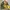 BUCKAROO TACTICAL  MILITARY  JACKET  | M65 | TRUCKER  photo 1