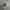 Samsung Galaxy Watch 4 Classic (Silver) photo 1
