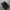 nike TN photo 3