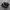 nike TN photo 1