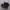 nike TN photo 1