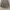 Rok satin photo 2