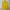 United Colors Of Benetton Size L photo 1