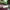 Air jordan, nike kobe, converse photo 6