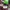 Air jordan, nike kobe, converse photo 5