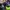 Air jordan, nike kobe, converse photo 3