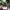 Air jordan, nike kobe, converse photo 4