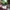 Air jordan, nike kobe, converse photo 1