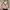 Tas Wanita Shoulderbag Slingbag Handbag photo 2