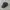 dark grey plain canvas cap photo 1