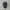 dark grey plain canvas cap photo 2