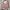 Tas Wanita Shoulderbag Handbag slingbag photo 1