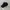 Black plain canvas cap photo 1