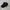 Black Plain Canvas Cap