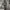 Black plain canvas cap photo 4
