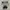 Onitsuka Tiger TIGER HORIZONIA Black White photo 3