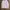 H&M Streetwear Casual Formal shirt Pria white photo 1