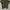 sweater short sleeve green knit photo 2