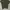 Sweater Short Sleeve Green Knit
