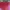 Sling Bag ( Longchamp) Red