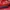 Sling Bag ( Longchamp) red photo 6