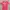 Stussy Streetwear T-shirt Pria multicolor photo 2