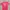 Stussy Streetwear T-shirt Pria Multicolor