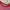 United Colors of Benetton Y2K Avant Garde Crop top Wanita pink orange photo 3