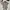 Y2K Avant Garde Crop top Wanita tan cream photo 2