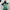 Y2K Avant Garde Crop Top Wanita Multicolor Green Red