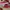 Hush puppies shoes photo 2