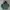 2000's Heavyweight Green Hoodie Boxy photo 2