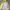 Trezzpass outdoor jaket  photo 5