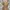 vintage beige cami top photo 1