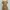 vintage beige cami top photo 3