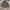 Vintage carhartt detroit jacket photo 1