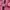 Kolon Sport Streetwear Vest Pria pink photo 5