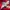 Jersey Liverpool 2021 Full Patch Made In Georgia photo 3