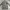 Parka Jacket Outdoors Single Layer