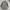 Parka Jacket Outdoors Single Layer