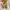 Andre Valentino Gold Bridal Heels photo 1