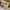 Andre Valentino Gold Bridal Heels photo 7