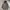 Jaket parka outdoors  photo 1