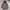 Jaket Parka Outdoors 