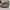 Adidas Entrap Mid  photo 5