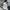 ISSEY MIYAKE PLEATED DRESS photo 7